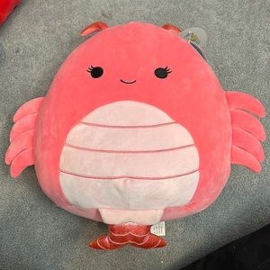 Simone the shrimp squishmallow!